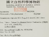 登錄號:F0027870藏品圖，第2張