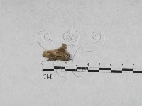 登錄號:F0027871藏品圖，第1張