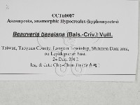 登錄號:F0027872藏品圖，第3張