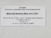 登錄號:F0027874藏品圖，第3張