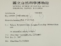 登錄號:F0027875藏品圖，第2張