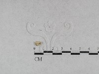 登錄號:F0027875藏品圖，第4張