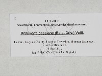 登錄號:F0027876藏品圖，第3張