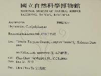 登錄號:F0027877藏品圖，第2張