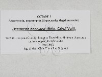 登錄號:F0027877藏品圖，第3張