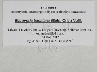 登錄號:F0027878藏品圖，第3張