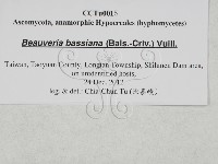 登錄號:F0027879藏品圖，第3張