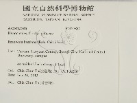 登錄號:F0027880藏品圖，第2張