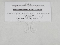 登錄號:F0027880藏品圖，第3張