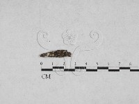 登錄號:F0027880藏品圖，第1張