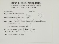 登錄號:F0027881藏品圖，第2張
