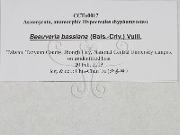 登錄號:F0027881藏品圖，第3張
