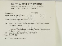 登錄號:F0027882藏品圖，第2張