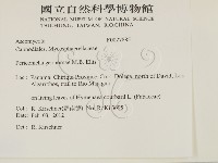 登錄號:F0027885藏品圖，第2張