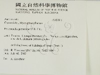 登錄號:F0027886藏品圖，第2張