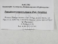 登錄號:F0027888藏品圖，第3張