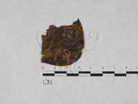 登錄號:F0027888藏品圖，第1張