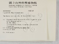 登錄號:F0027889藏品圖，第2張