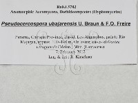 登錄號:F0027889藏品圖，第3張