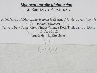 登錄號:F0027890藏品圖，第3張