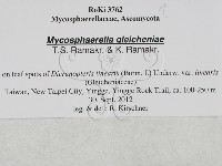 登錄號:F0027891藏品圖，第3張