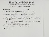 登錄號:F0027892藏品圖，第2張