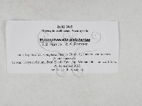 登錄號:F0027892藏品圖，第3張