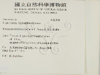 登錄號:F0027896藏品圖，第2張