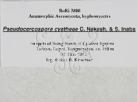 登錄號:F0027896藏品圖，第3張