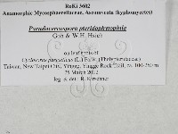 登錄號:F0027897藏品圖，第3張