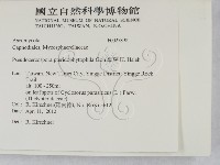 登錄號:F0027898藏品圖，第2張