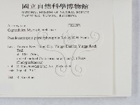 登錄號:F0027899藏品圖，第2張
