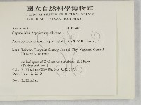 登錄號:F0027900藏品圖，第2張