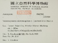 登錄號:F0027901藏品圖，第2張
