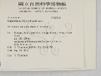 登錄號:F0027902藏品圖，第2張
