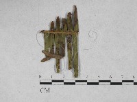 登錄號:F0027902藏品圖，第4張