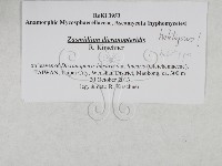 登錄號:F0027903藏品圖，第3張