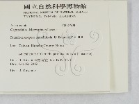 登錄號:F0027904藏品圖，第2張