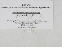 登錄號:F0027904藏品圖，第3張