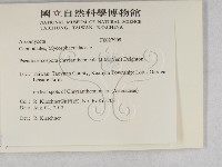 登錄號:F0027905藏品圖，第2張