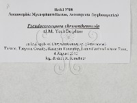 登錄號:F0027905藏品圖，第3張