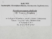 登錄號:F0027906藏品圖，第3張