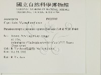 登錄號:F0027907藏品圖，第2張