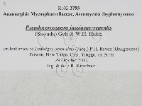 登錄號:F0027907藏品圖，第3張