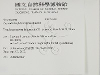 登錄號:F0027908藏品圖，第2張