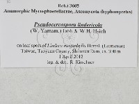 登錄號:F0027908藏品圖，第3張