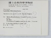 登錄號:F0027909藏品圖，第2張