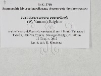 登錄號:F0027909藏品圖，第3張