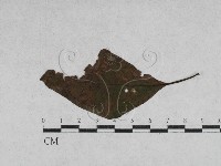 登錄號:F0027910藏品圖，第1張