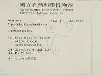 登錄號:F0027911藏品圖，第2張